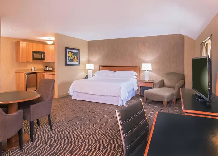 Sheraton Springfield Monarch Place Hotel
